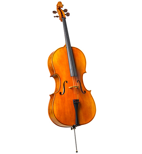 Cello oder Violoncello
