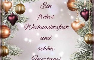 1-WhatsApp Image 2025-12-24 at 09.19.59